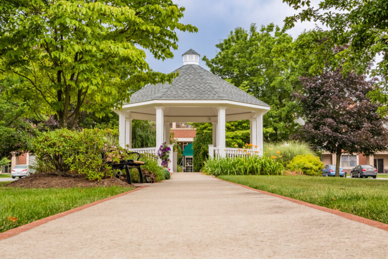 19' octagon gazebo pavilion