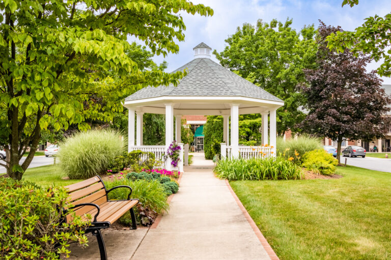 19' octagon gazebo