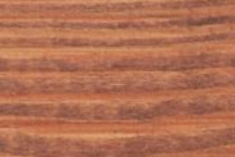 Jarrah Brown PT rotated 480x320 f50 50