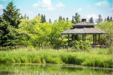 shrubs around a permanent gazebo scaled