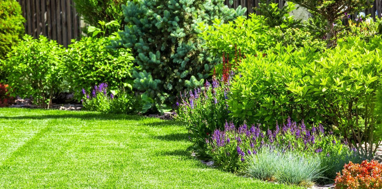 Outdoor garden and lawn