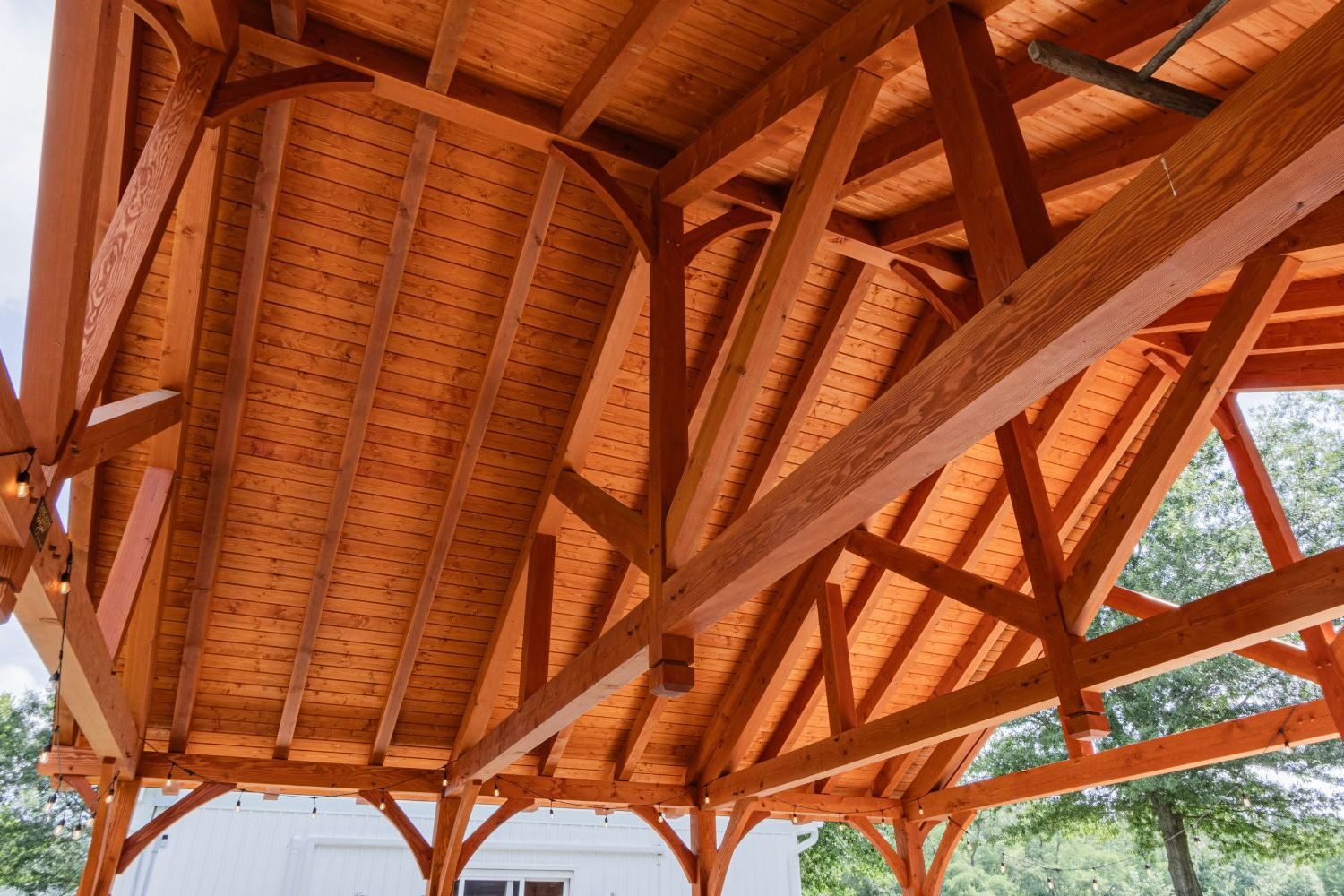 Underside of Kingston Pro Pavilion with exposed wood ceiling and string lights on edges