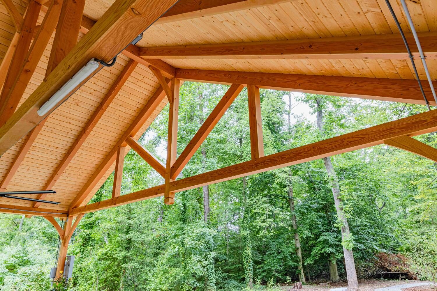 Kingston Timber frame pavilion with view of truss and trees