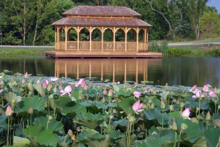 18x36 oval gazebo