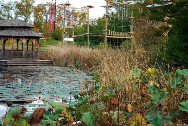 gazebo by a pond