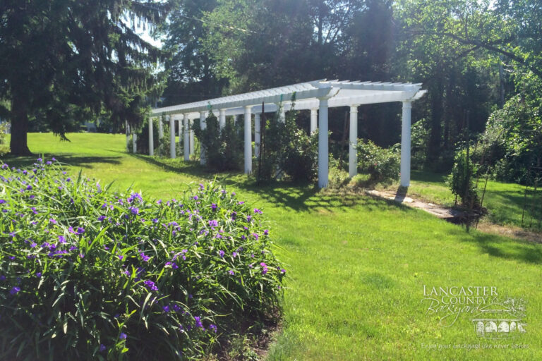 beautiful garden pergola