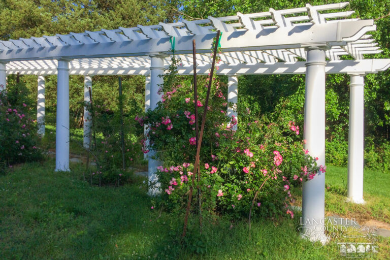 garden tunnel pergola