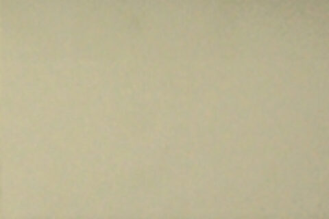 new2 tan vinyl